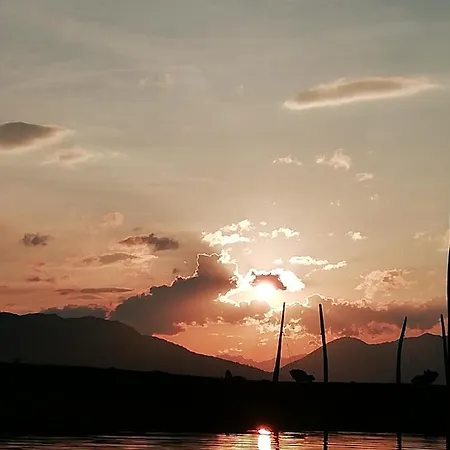 Floerl * روهربيرج